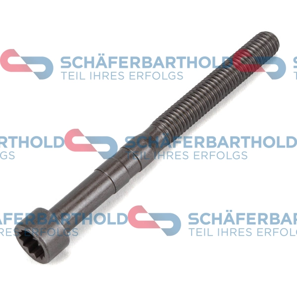 Bolt, rocker arm shaft (395 18 021 01 22)