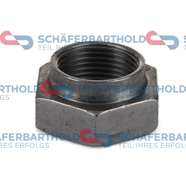 Axle Nut, drive shaft (100 27 157 01 11)