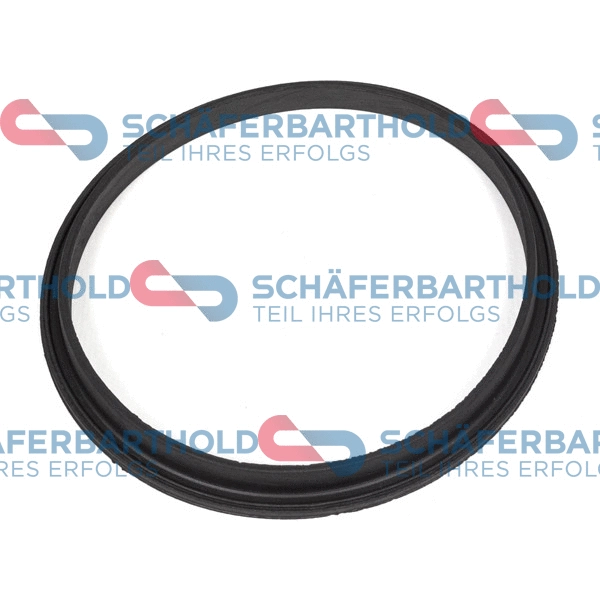 Seal, fuel sender unit (317 08 093 01 11)