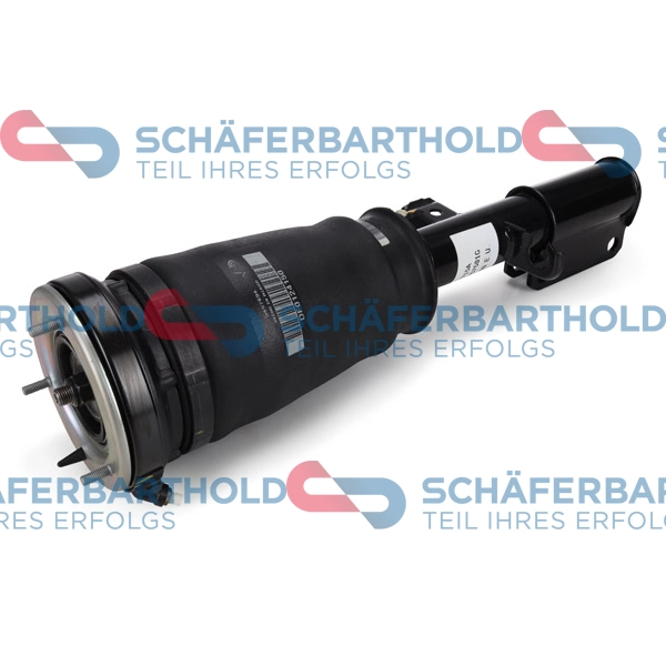 Air Suspension Strut (314 02 286 01 11)