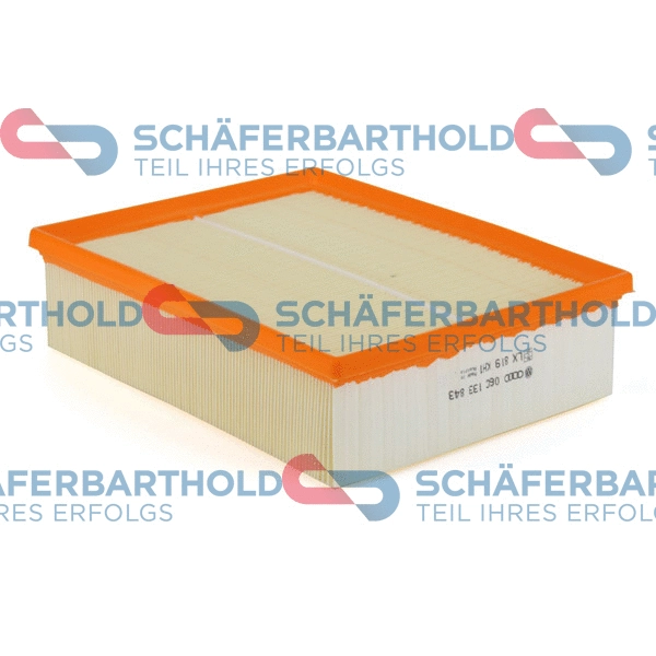 Air Filter (310 18 687 01 11)