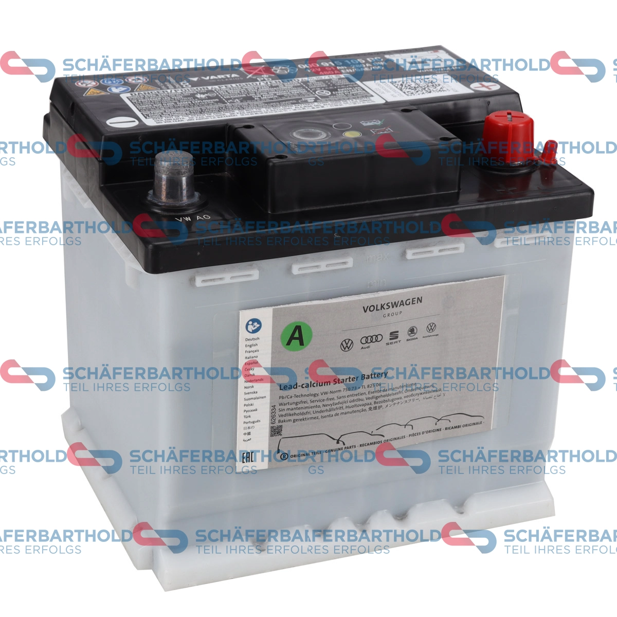 Starter Battery (319 18 388 01 11)