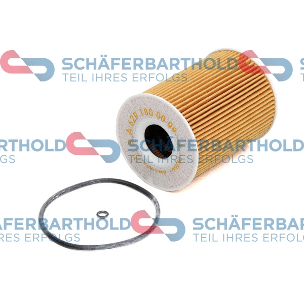 Oil Filter (310 12 674 01 11)