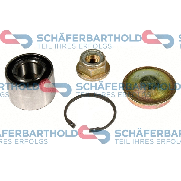 Wheel Bearing Kit (315 28 359 01 11)