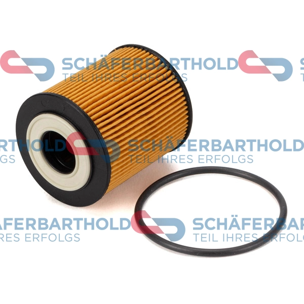 Oil Filter (310 27 777 01 11)