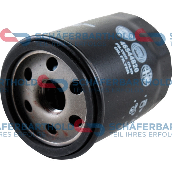 Oil Filter (310 08 116 01 11)