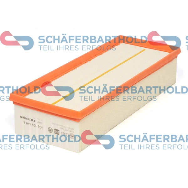 Air Filter (310 18 177 01 11)