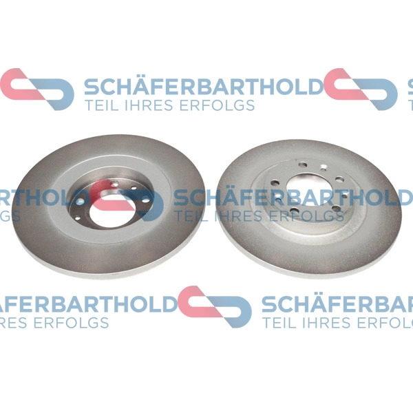 Brake Disc (315 27 305 01 11)
