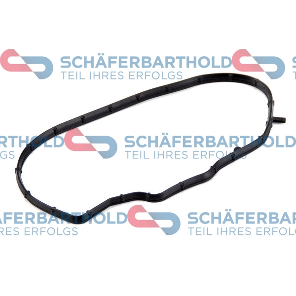 Gasket, timing case (313 27 905 01 11)
