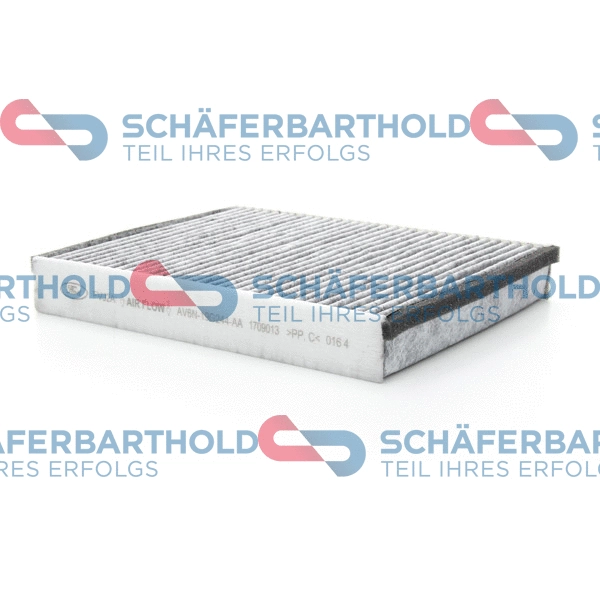 Filter, cabin air (310 06 318 01 11)