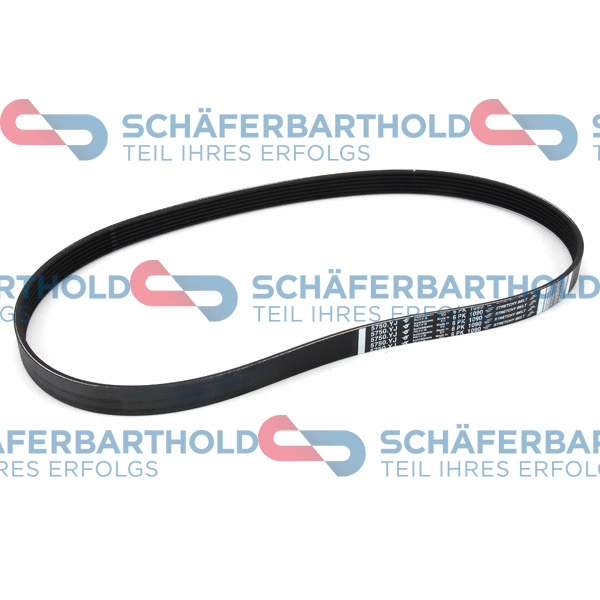 V-Ribbed Belt (300 27 858 01 11)