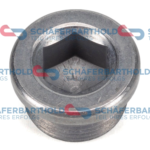 Screw Plug, oil sump (395 18 019 01 22)