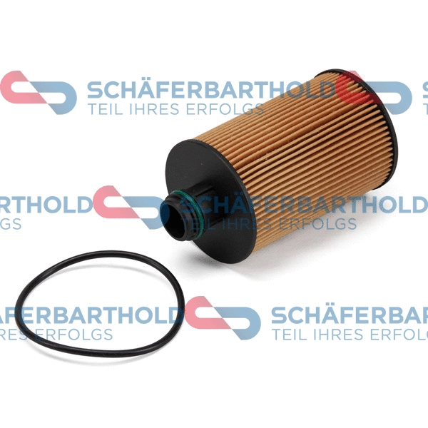 Oil Filter (310 08 166 01 11)