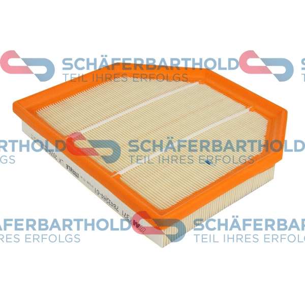 Air Filter (310 02 641 01 11)