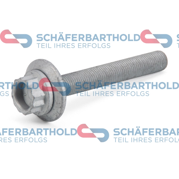Pulley Bolt (100 18 316 01 11)
