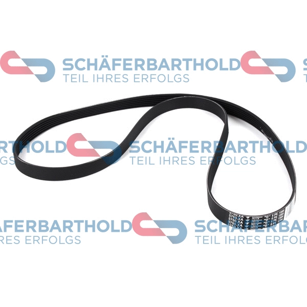 V-Ribbed Belt (300 27 866 01 11)