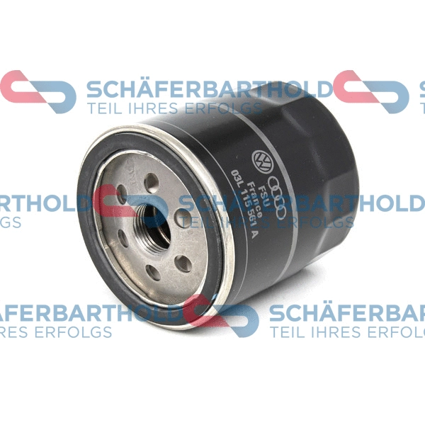 Oil Filter (310 18 103 01 11)