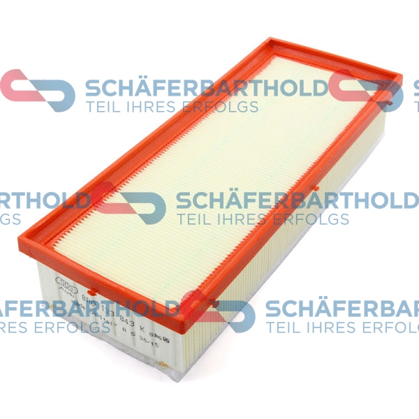 Air Filter (310 04 117 01 11)