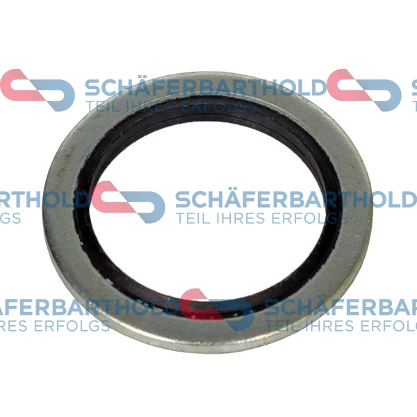 Seal Ring, oil drain plug (313 16 080 01 22)