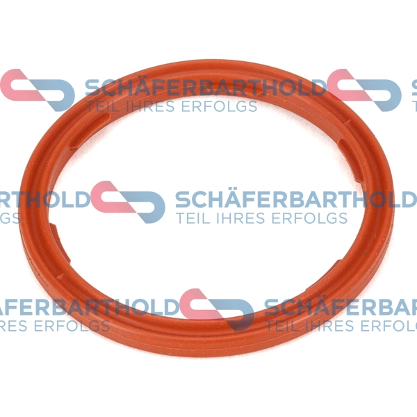 Seal Ring, engine oil level sensor (313 02 369 01 22)
