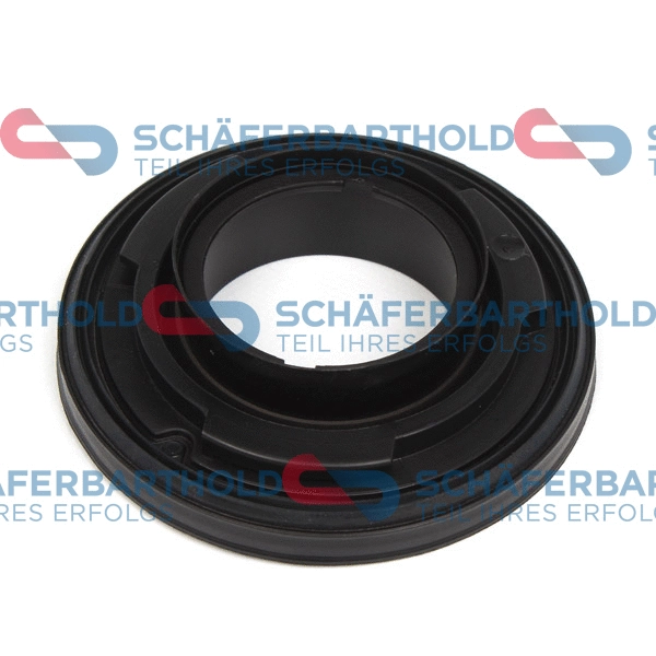 Shaft Seal, crankshaft (313 27 433 01 11)