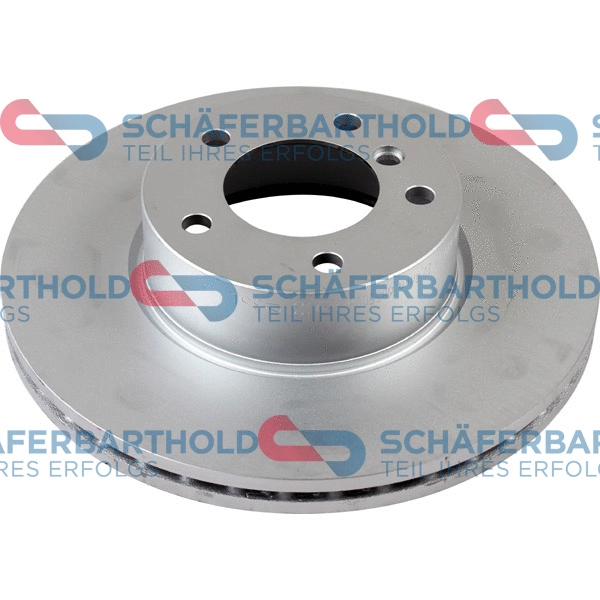 Brake Disc (315 02 379 01 11)