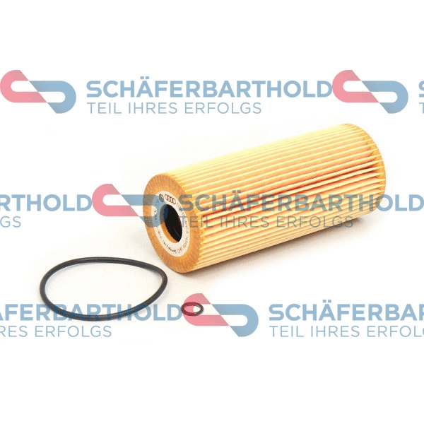 Oil Filter (310 18 196 01 11)