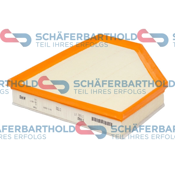 Air Filter (310 02 253 01 11)