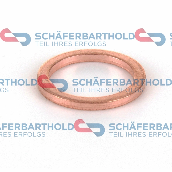 Seal Ring, oil drain plug (313 27 015 01 11)