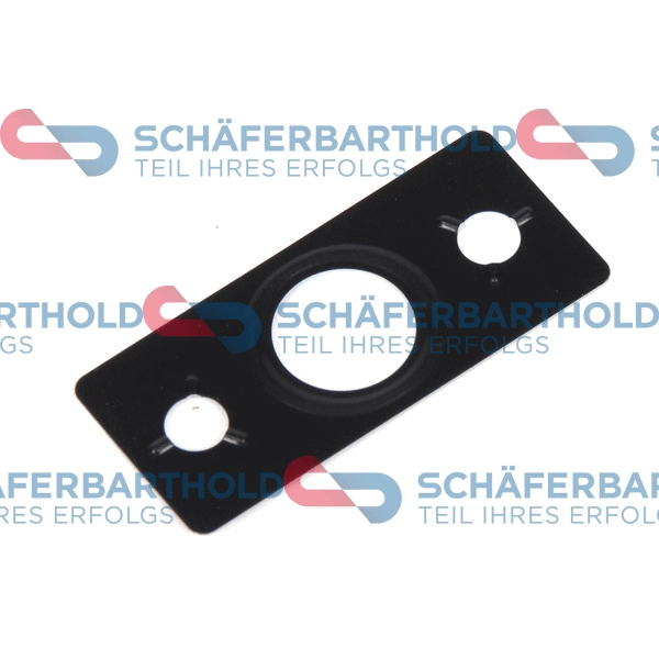 Gasket, oil outlet (charger) (313 27 003 01 11)