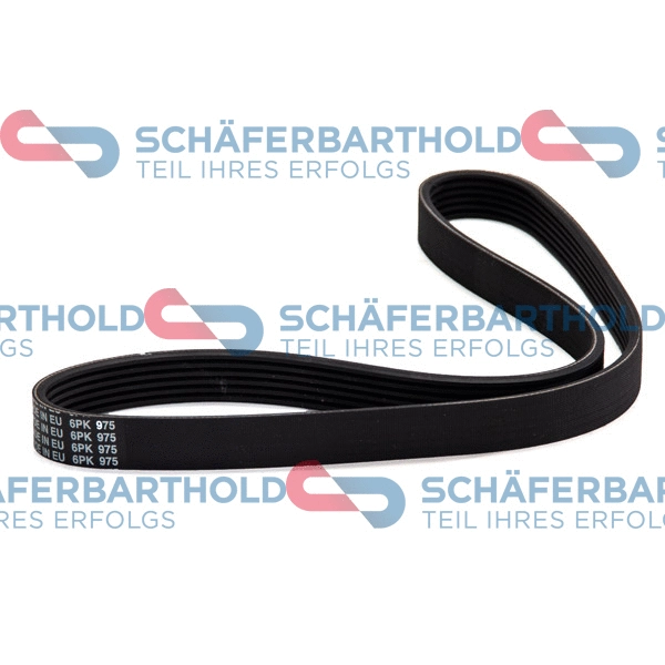 V-Ribbed Belt (300 27 024 01 11)