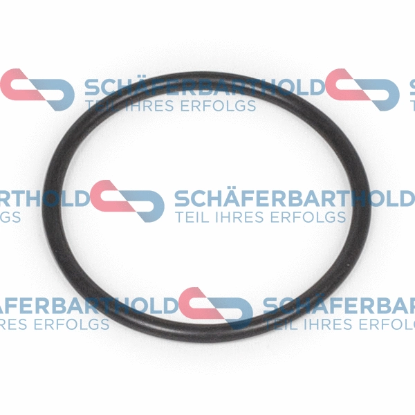 Seal, camshaft adjustment (313 12 006 01 11)