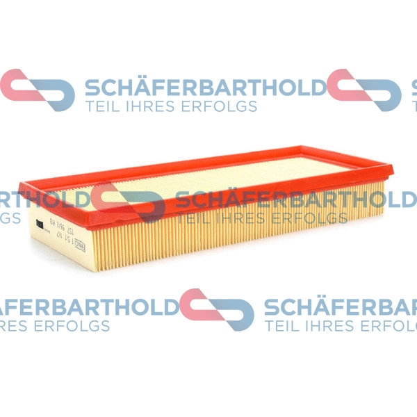 Air Filter (310 06 246 01 11)