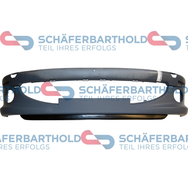 Bumper (316 27 205 01 11)