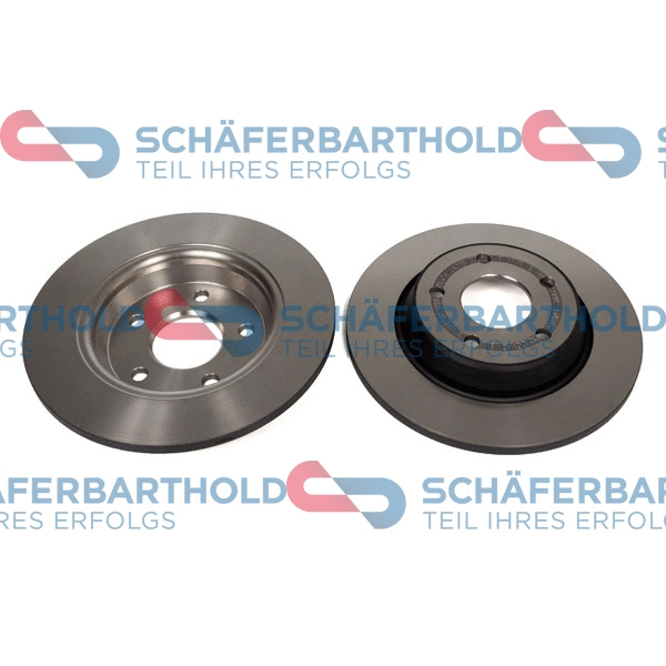 Brake Disc (315 06 343 01 11)