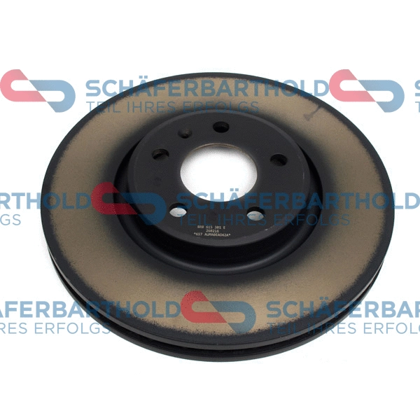 Brake Disc (315 04 303 01 11)