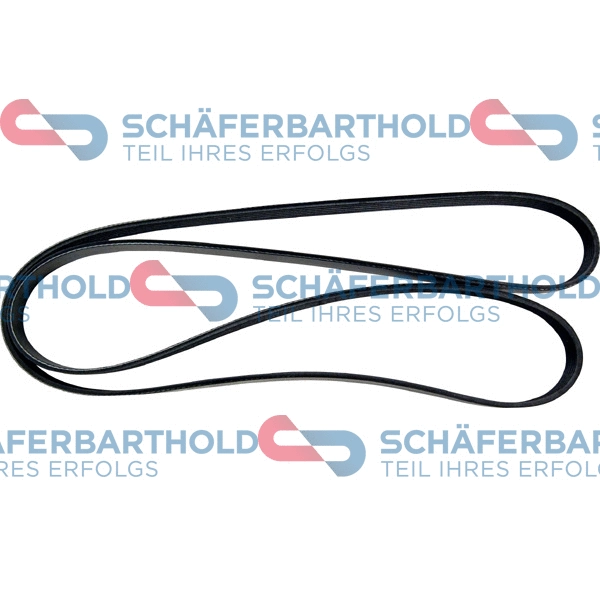 V-Ribbed Belt (300 06 117 01 11)