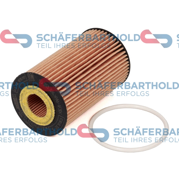 Oil Filter (310 16 250 01 11)