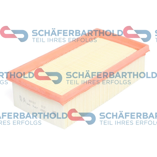 Air Filter (310 27 364 01 11)