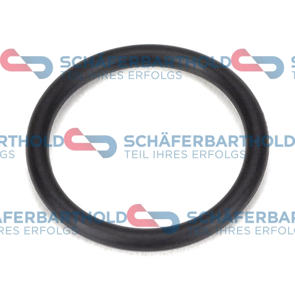 Seal Ring, oil drain plug (319 18 349 01 11)