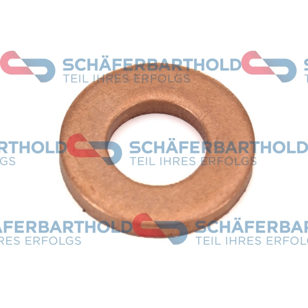 Seal Ring, nozzle holder (313 27 587 01 11)