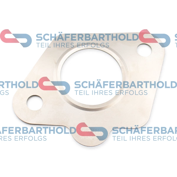 Gasket, EGR valve (313 27 912 01 22)