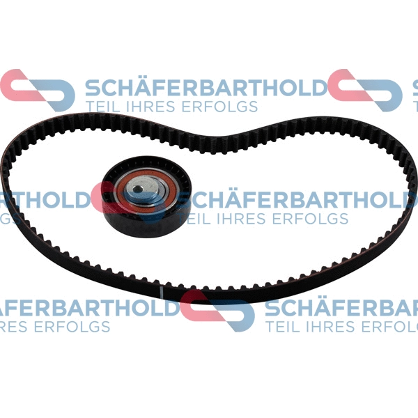 Timing Belt Kit (300 28 500 01 11)