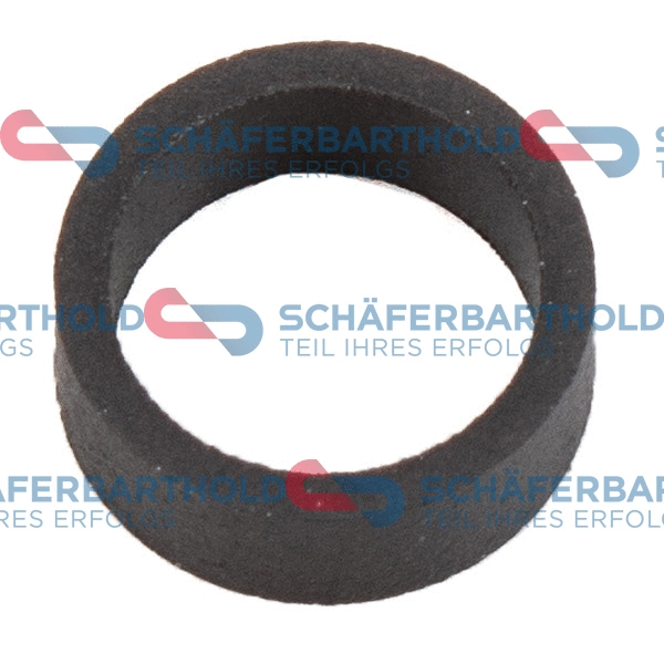 Seal Ring, injector (313 02 038 01 22)