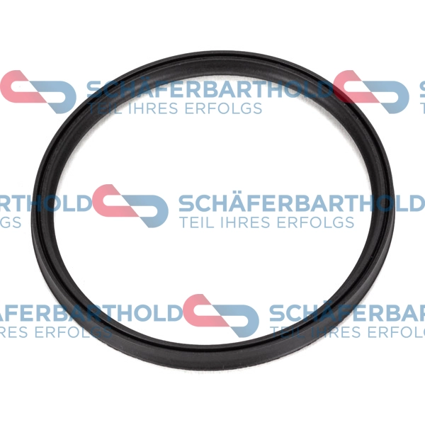 Seal Ring, charge air hose (313 02 036 01 22)