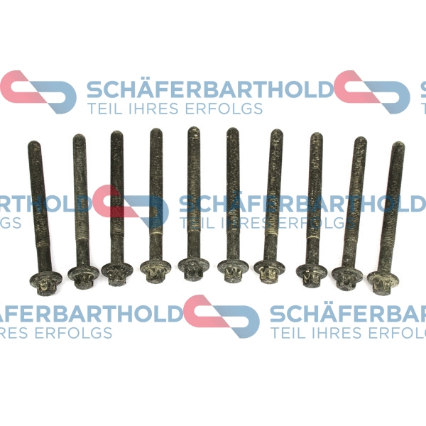 Cylinder Head Bolt Set (310 28 601 01 11)