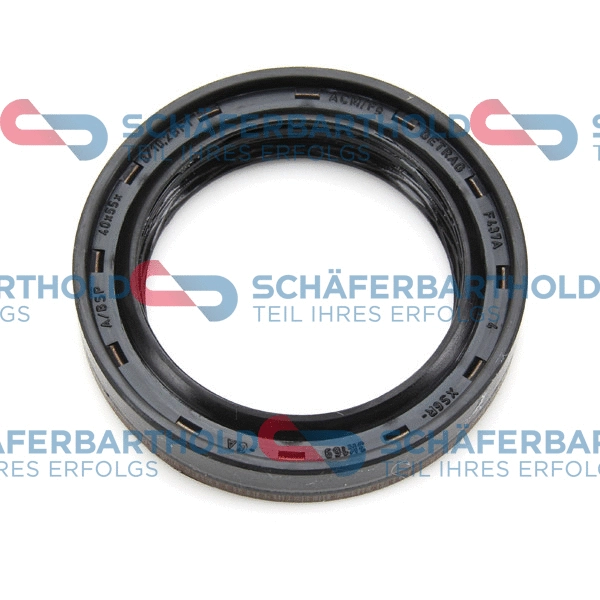 Shaft Seal, differential (313 06 400 01 11)