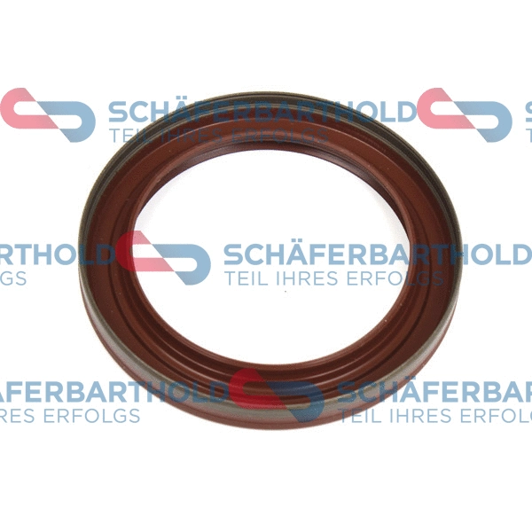 Shaft Seal, oil pump (313 16 403 01 11)
