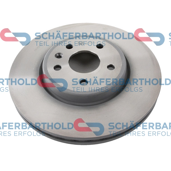 Brake Disc (315 16 379 01 11)
