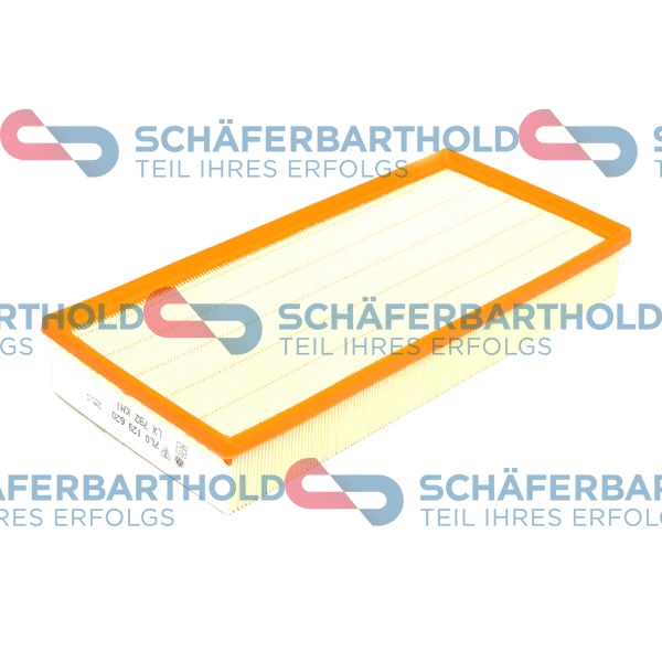 Air Filter (310 18 043 01 11)
